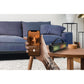 Parlante Bluetooth Portátil Master-G TWS con Luces RGB 2”x2 MGBOOM